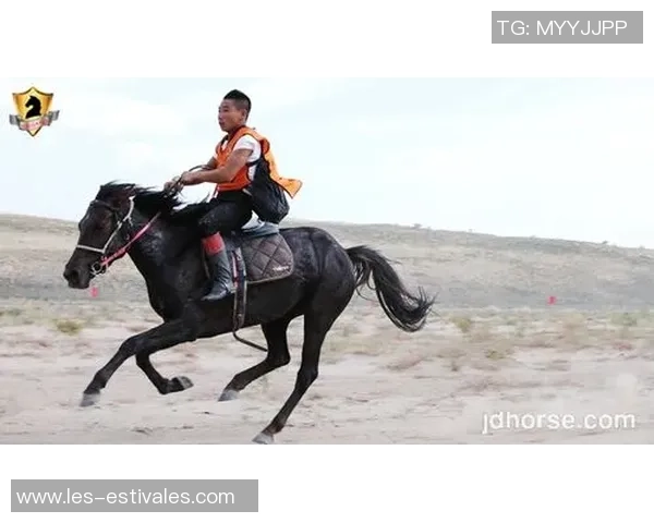 杭州足球队总决赛耐力表现分析与未来展望