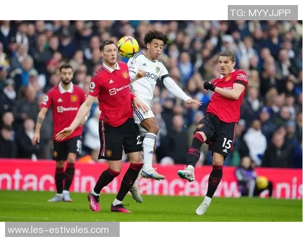 西安羽毛球队灵活性引发热议球员表现与战术调整成焦点讨论