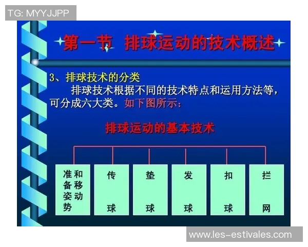 赛后分析：杭州与武汉排球队速度对比及战术探讨