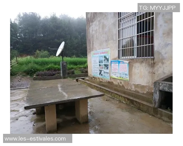 深度对话：吴静的乒乓球人生