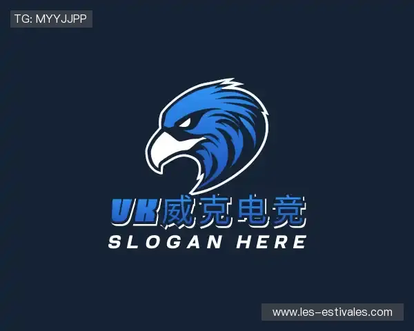 认识vk威克电竞