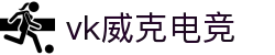 vk威克电竞 - 专业电竞平台，畅享竞技乐趣