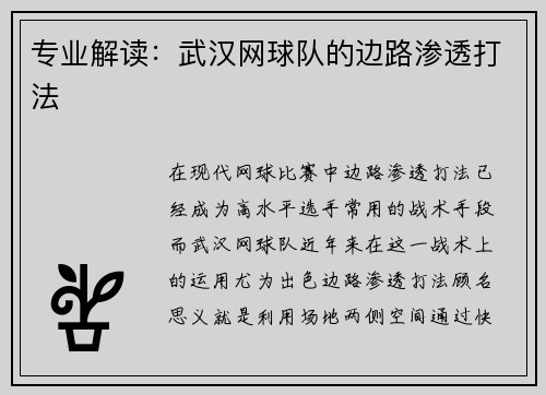 专业解读：武汉网球队的边路渗透打法