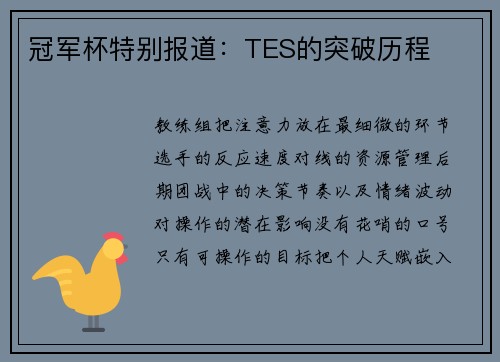 冠军杯特别报道：TES的突破历程